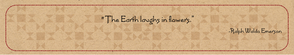 Amish Happiness quote