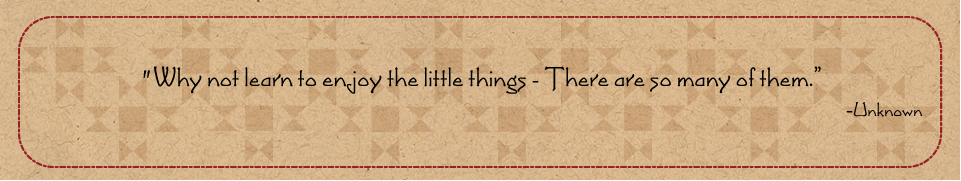 Enjoy the little things quote