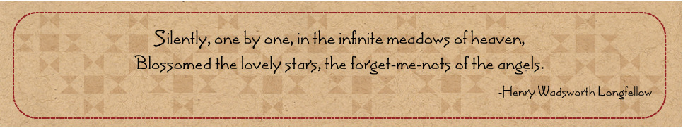 stars and meadows quote